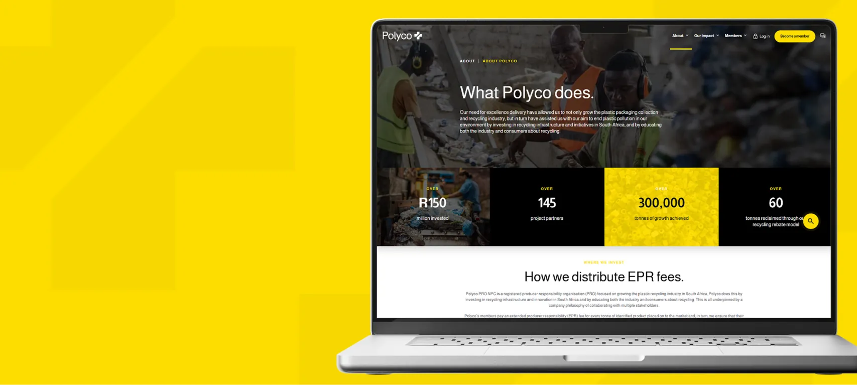 Polyco website previews
